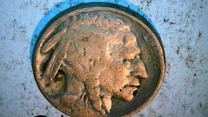 #80 USA 5 Cent Buffalo 1929 - Bild 1 von 2