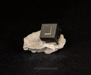 Pyrite Cube in Matrix La Rioja Spain    6458 - Picture 1 of 2