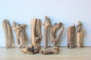 Madera flotante Driftwood 9 pequeñas maderas terrario 16-25 cm **152** - Imagen 1 de 12