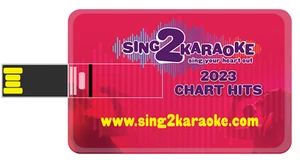 Sing2Karaoke MP3+G USB Kreditkarte Größe 80 2023 Chart Hits - Bild 1 von 4