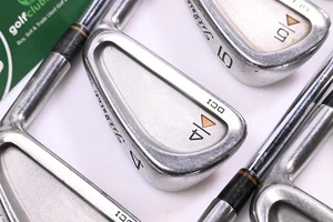 Titleist DCI Gold Irons / 3-9i+SW / Regular Flex Titleist Tri Spec Shafts - Picture 1 of 7