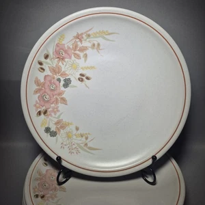 4 Boots Hedge Rose 10" Dinner Plates Dinning Set Microwave Oven Dishwasher Safe - Picture 1 of 9