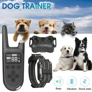Anti bell Halsband Hunde Erziehungshalsband Ton Vibration Ferntrainer 1000M NEU - Bild 1 von 18