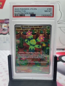 Pokémon Maractus 160/159 Sv09: Journey Together Holo 2025 PSA 8 - Imagen 1 de 4