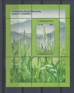 UZBEKISTAN. Año: 2002. Tema: FLORA. PLANTAS. - Imagen 1 de 1