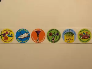 6 Fun STICKERS ~ TRADER JOE'S Grocery: SPRING Cleaning, Beauty, Fever, Blossoms - Picture 1 of 3