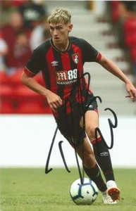 FOTO DE ACCIÓN 6x4 firmada por David Brooks de Bournemouth + certificado de autenticidad - Imagen 1 de 1