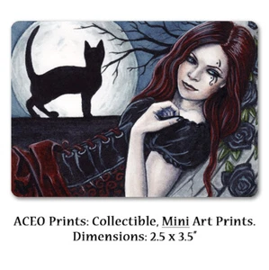 ACEO LE PRINTS Gótico Luna Bruja Mujer Gato Negro Silueta Corsé Rosas Noche - Imagen 1 de 3