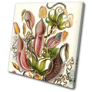 Botanisches Vintage Retro Blumen EINZELNES LEINWANDBILD WANDBILD Bild Druck - Bild 1 von 1