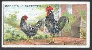 OGDENS - POULTRY (1-25, OGDENS) - #8 ANCONAS - Picture 1 of 2
