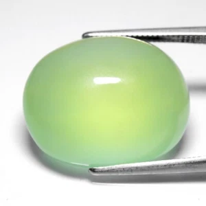 💎 Cabochon ovale 20,77 ct 19,5 x 16 mm prehnite verde naturale - gemma Africa - Foto 1 di 10