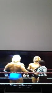 1996 WCW PPV Wild Hog wPrehow Sturgis South Dakota DVD - Picture 1 of 1