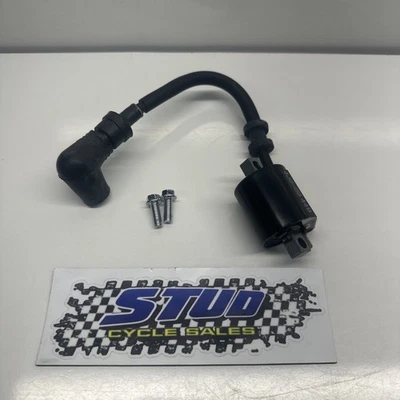 Yamaha YZ85 LW 2025 NUEVO CONJUNTO DE BOBINA DE ENCENDIDO OEM DESPEGUE YZ 65 85 4JG-82310-03-00 Foto 1 de 3