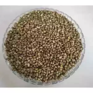 100gm Semilla de Cáñamo Orgánico Cáñamo Pájaro Seada 100gm Original Calidad Premium - Imagen 1 de 4