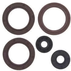 Juego de sellos de aceite QuadBoss CAN-AM Outlander 500 EFI Outlander 500 EFI XT, etc. Foto 1 de 3