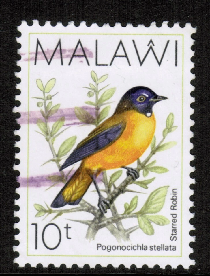 Malawi  1988 SG794 10t Starred Robin Birds Used - Image 1 of 1