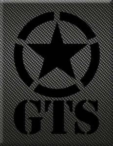 Vespa Emblem Kaskade Aufkleber Logo Allied Carbon GTS - Bild 1 von 1