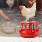 Water Dispenser Chick Waterer Feeder for Bantam Chickens Duck
