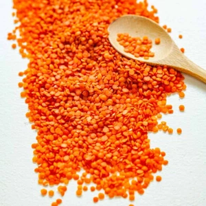 Masoor Dal - Red Dhal-Red Lentil - 100% Pure Organic -Quality Masoor From Ceylon - Picture 1 of 8