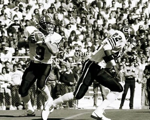Todd Ellis South Carolina Gamecocks 8x10 Football Photo Print TE1 - Picture 1 of 1