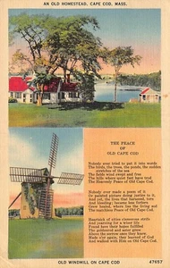 Cartolina MA: Old Homestead, Cape Code, Massachusetts, lino pubblicata 1945 - Foto 1 di 2