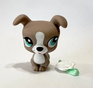 Pares de mascotas Littlest Pet Shop #1463 perro boxer - Imagen 1 de 3