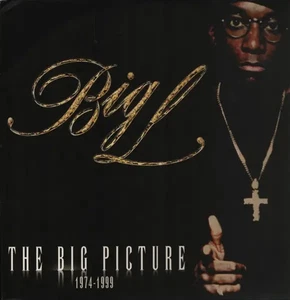 Big L The Big Picture (1974-1999) Rawkus 2xVinyl LP - Picture 1 of 1