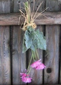 Daisy Spray Pink Gerbera Daisies Tied With Bow Bunch Faux Dried Flowers 19 inch - Picture 1 of 2