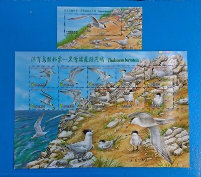 TAIWAN 2002 CRESTED TERN M/S + 10v sheet - bird stamps MNH - Image 1 of 2