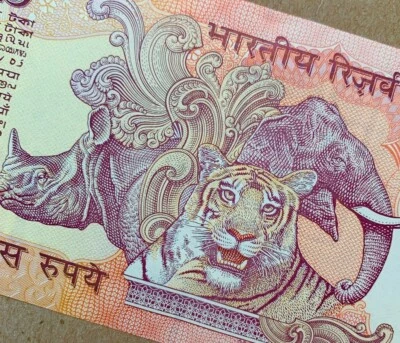 Moneda de recuerdos de rinoceronte elefante tigre. Billete de Mahatma Gandhi. Papel moneda Foto 1 de 4