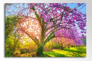 ARTE DE PARED DE LONA GRANDE 36 X 24 pulgadas zen púrpura rosa verde flores impresión de imagen - Imagen 1 de 1