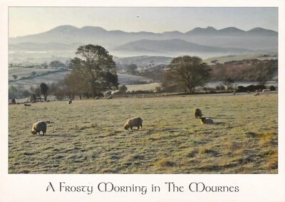 Mournes Northern Ireland Postcard posted 2008 Pinhole - Image 1 of 2