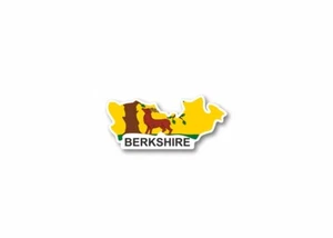 Sticker Card Flag Region County English England Berkshire - Picture 1 of 1