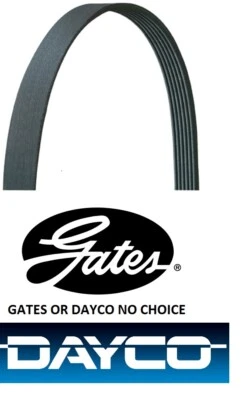 CINTO SERPENTINA CADILLAC SRX 2004 2005 2006 2007 2008 2009 CADDY STS 2005-2010 - Imagem 1 de 2