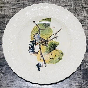 Alfred Meakin Audubon's Birds of America WHITE CROWNED SPARROW Plate #114 A1 - Picture 1 of 5