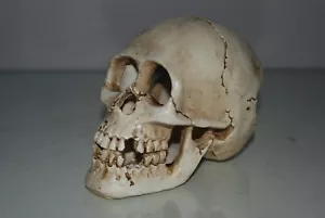Aquarium Atemberaubend Detailliert Groß Rissige Totenkopf Deko 15 x 9 x 11 CM - Bild 1 von 6