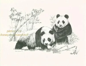 # 153 PANDAS Panda  wild life art print * Pen and ink drawing by Jan Jellins - Picture 1 of 1
