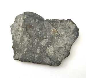12.7 gram NWA 7346 meteorite slice - pretty LL6 chondrite   - Picture 1 of 5