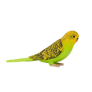 .Mojo BUDGERIGAR GREEN cute pet farm model toy plastic figures animals figurines - Picture 1 of 5