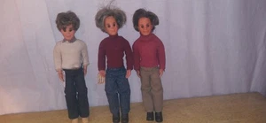 Vintage 1973 Mattel Sunshine Family LOT of 3 Steve Dad Doll Brown Hair Jointed - Bild 1 von 6