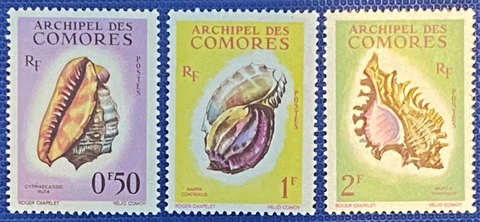 ZAYIX - 1962 - Comoros - #48-50 - MNH - Marine Life - Shells Cover