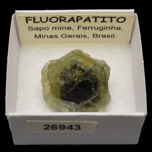 FLUORAPATITO (Sapo mine, Ferruginha, Minas Gerais, Brasil) #26943 / Fluorapatite - Foto 1 di 1