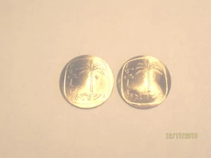 Israeli Golden Date Palm Tree vintage coin cuff links-beautiful detail - Picture 1 of 10