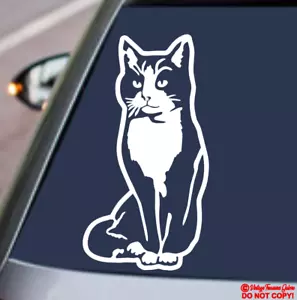 TUXEDO CAT Vinyl Decal Sticker Window Wall Bumper FUNNY FELINE PET ANIMAL KITTEN - Picture 1 of 6