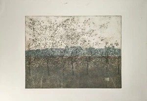 Peter Redeker, Dorf mit Bäumen, Radierung, signiert, num., betitelt, 1972 - Bild 1 von 12
