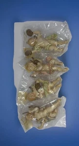Kunststoff Cherub Engel 4 Stück Orchester Vintage Ornamente einzeln versiegelt - Bild 1 von 16