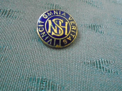 RARE VINTAGE NEWCASTLE HIGH SCHOOL FOR GIRLS JESMOND ENAMEL PIN BADGE FATTORINI - Image 1 of 2