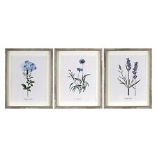 (Set of 3) 16"x20" Framed Vintage Botanicals Decorative Wall Art - Threshold