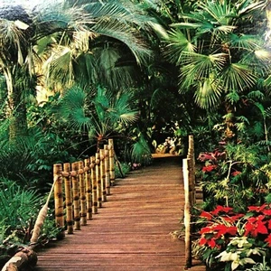 Vancouver, B.C. Canada Queen Elizabeth Park Postcard BIOEDEL FLORAL CONSERVATORY - Picture 1 of 5