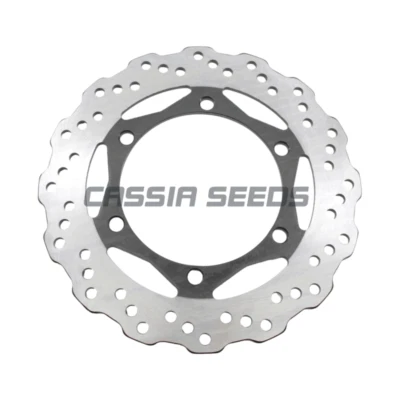 摩托车后刹车盘适用于川崎 KL650 KLR650 2008 - 2018 — 第 1/4 张图片